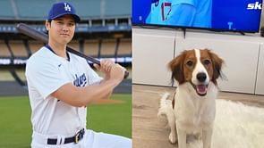 Watch: Shohei Ohtani arrives in style with Decoy at Dodgers superstar's special bobblehead night featuring his beloved pet